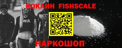 крисы Гай