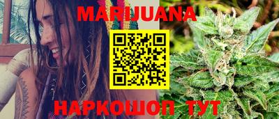 крисы Гай