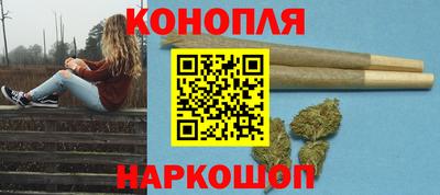 крисы Гай